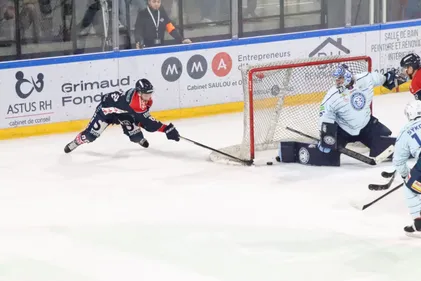 Hockey sur glace : Brendan Harms quitte les Ducs d'Angers