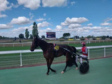 Les pronostics hippiques pour ce samedi 11 novembre