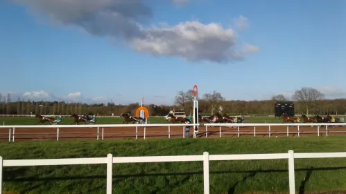 Hippisme : nos préférés du jour