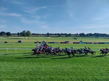 Les pronostics hippiques pour ce dimanche 28 septembre