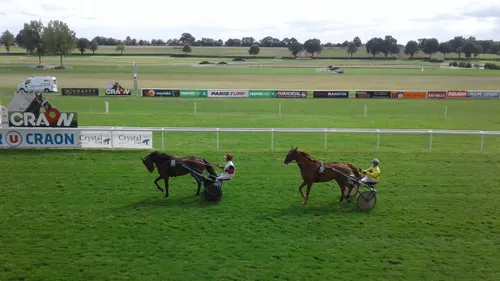 Hippisme : nos préférés pour ce dimanche 26 juin