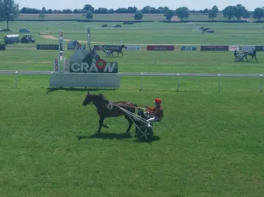 Les pronostics hippiques pour ce dimanche 22 juin