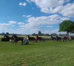Les pronostics hippiques pour ce samedi 7 juin
