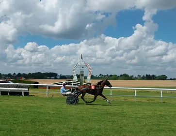 Les pronostics hippiques pour ce dimanche 15 juin