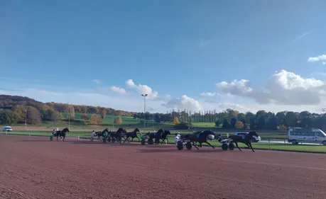 Les pronostics hippiques pour ce samedi 15 novembre