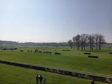 Hippisme : nos préférés pour ce samedi 25 juin