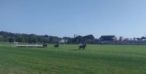 Les pronostics hippiques pour ce dimanche 13 octobre