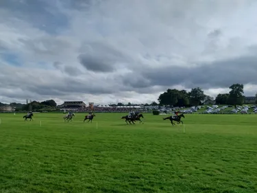 Les pronostics hippiques pour ce dimanche 12 octobre