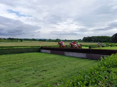 Les pronostics hippiques pour ce samedi 25 octobre