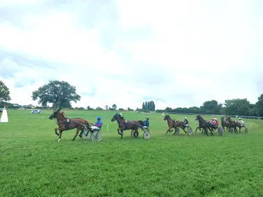 Les pronostics hippiques pour ce samedi 21 juin