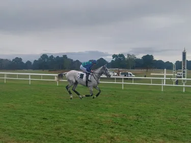 Les pronostics hippiques pour ce dimanche 2 novembre