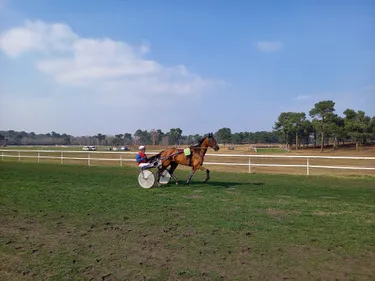 Les pronostics hippiques pour ce dimanche 20 octobre 