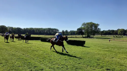 Les pronostics hippiques pour ce dimanche 28 juin