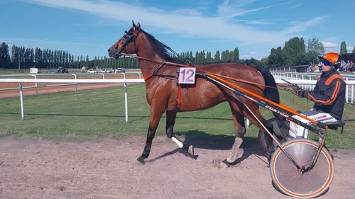 Les pronostics hippiques pour ce samedi 13 décembre