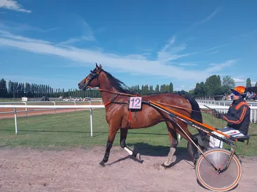 Les pronostics hippiques pour ce samedi 24 mai