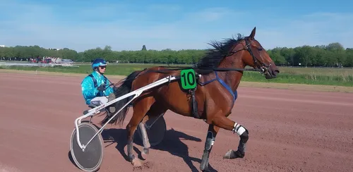 Les pronostics hippiques pour ce samedi 10 mai