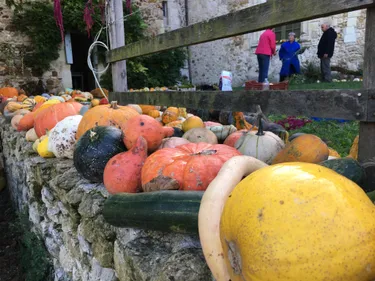 EN IMAGES. Les cucurbitacées, stars de l'automne