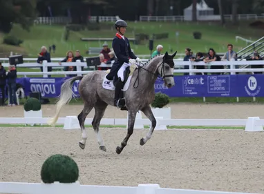 EN IMAGES. Mondial du Lion : les Français bien placés après la...