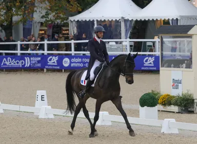 EN IMAGES. Mondial du Lion 2023 : Nicolas Touzaint en tête chez les...