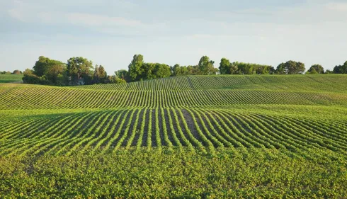 Guerre en Ukraine : les agriculteurs face aux répercussions...