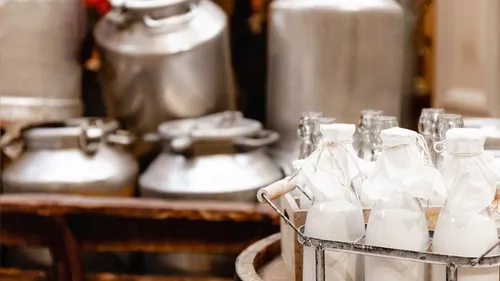 Vern d'Anjou. Faute de collecte, une éleveuse donne gratuitement le...