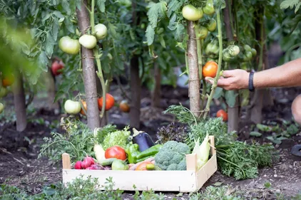 En Maine-et-Loire. Huit enquêtes contre la vente et l’utilisation...