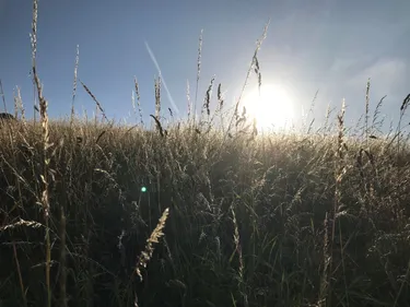 Canicule : plusieurs événements annulés dans le Haut-Anjou et la...
