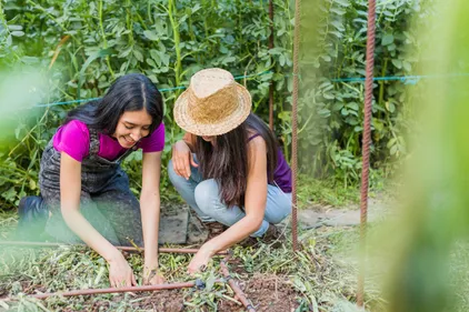 Laval. La Ferme urbaine se précise dans le quartier de Saint-Nicolas
