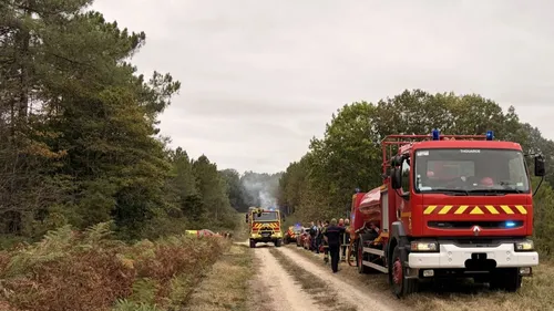 Gennes-Val-de-Loire. Un nouvel incendie dans la forêt de Milly