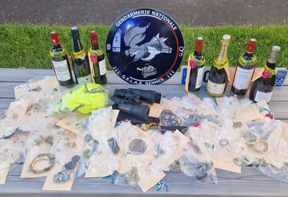 En Mayenne. Des personnes interpellées pour vingtaine de...