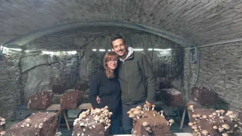 Anjou Bleu. Ils ont tout plaqué pour produire des champignons