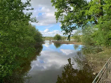 Montreuil-Juigné. Le marais de Juigné, un combat quotidien pour le...