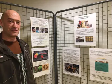 "Les animaux ne font pas de bons cadeaux de Noël" alerte le Refuge...