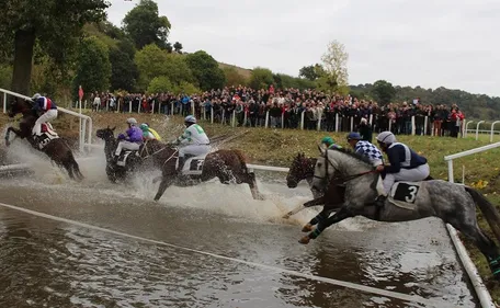 Nuillé-sur-Vicoin : 80 ans de passion pour les courses hippiques