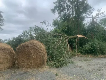 Orages : 1 100 foyers toujours sans électricité en Mayenne, voie...