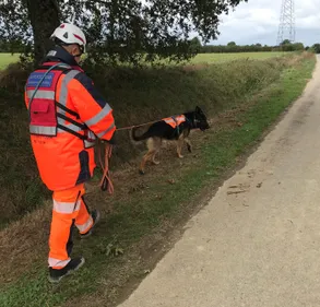 Château-Gontier. Des chiens renifleurs pour traquer les fuites...