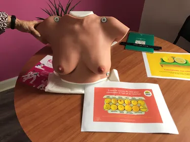 Segré. Un buste de palpation à l'Espace Ligue de l'Anjou bleu pour...