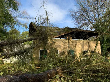 Tempête Ciaran. Des dégâts au Refuge de l'Arche, les animaux indemnes