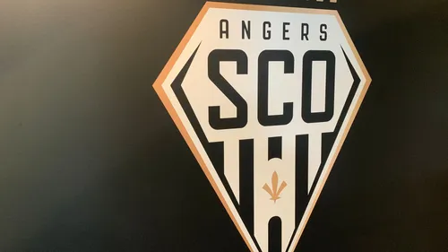Handball. Angers SCO officiellement relégué en N1