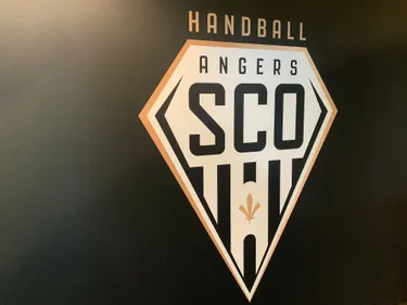 Handball. Angers Sco se prépare au repêchage en Proligue avec son...