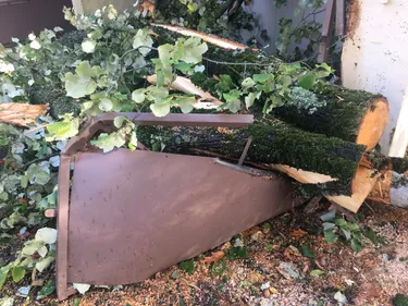 Tempête Ciaran. A son retour, il découvre un arbre sur son toit