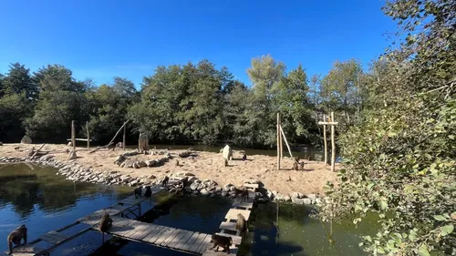 Château-Gontier-sur-Mayenne. Le Refuge de l'Arche lance un appel à...
