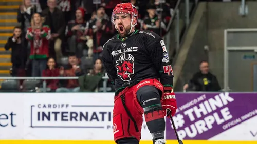 Ducs d'Angers. Le défenseur Cody Donaghey débarque en Anjou