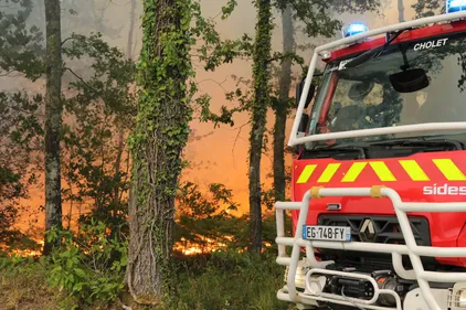 Un incendie a déjà ravagé plus de 600 ha de forêt dans le nord du...