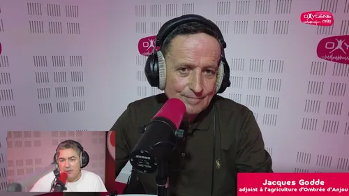 Les parrainages Initiative Anjou