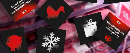 Angers. L214 prévoit une action symbolique contre Carrefour pour...