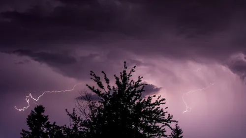 Angers. Vigilance jaune orage : des parcs et des jardins fermés