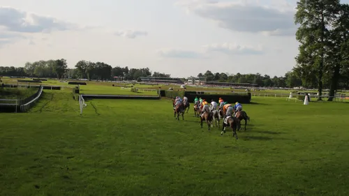  Les courses de retour cet après-midi au Lion d’Angers