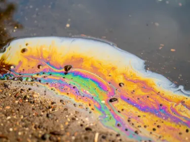 Angers. Pollution de la chaufferie Alter Services dans le quartier...