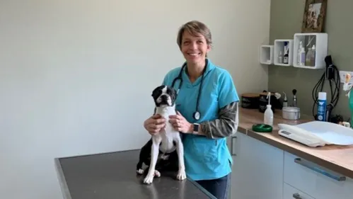 Meslay-du-Maine. Une vétérinaire soigne les animaux à prix réduits...